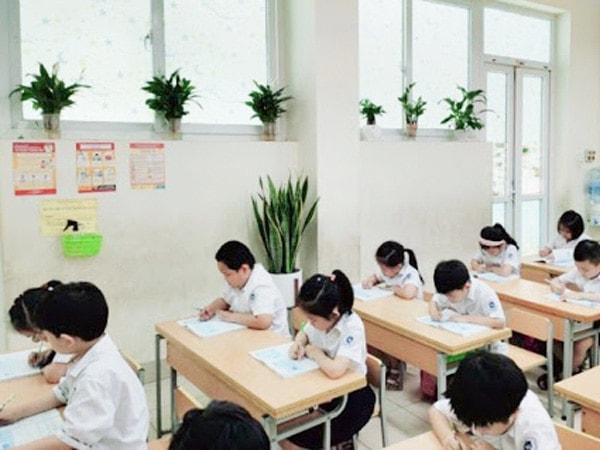 5 Cách Trang Trí Cửa Sổ Lớp Học Bằng Cây Xanh Không Phải Ai Cũng Biết