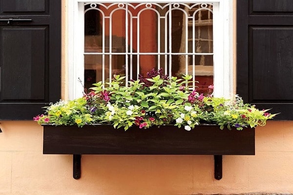 6 Cách Trang Trí Cửa Sổ Bằng Cây Xanh Đẹp Mê Ly